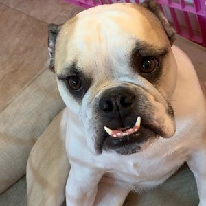 Meet your Posher, Tina